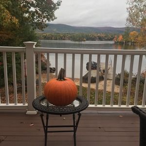 Meet your Posher, Debbie